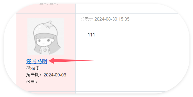 d2b5ca33bd20240830155052